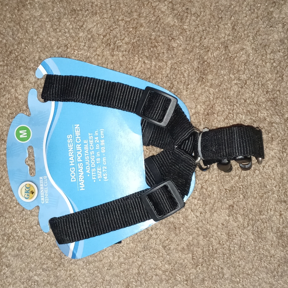 Harness
